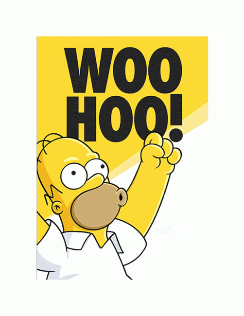 homer-woohoo.gif