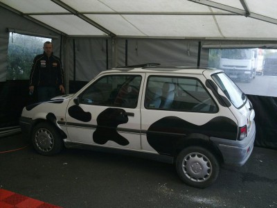 mooo.JPG